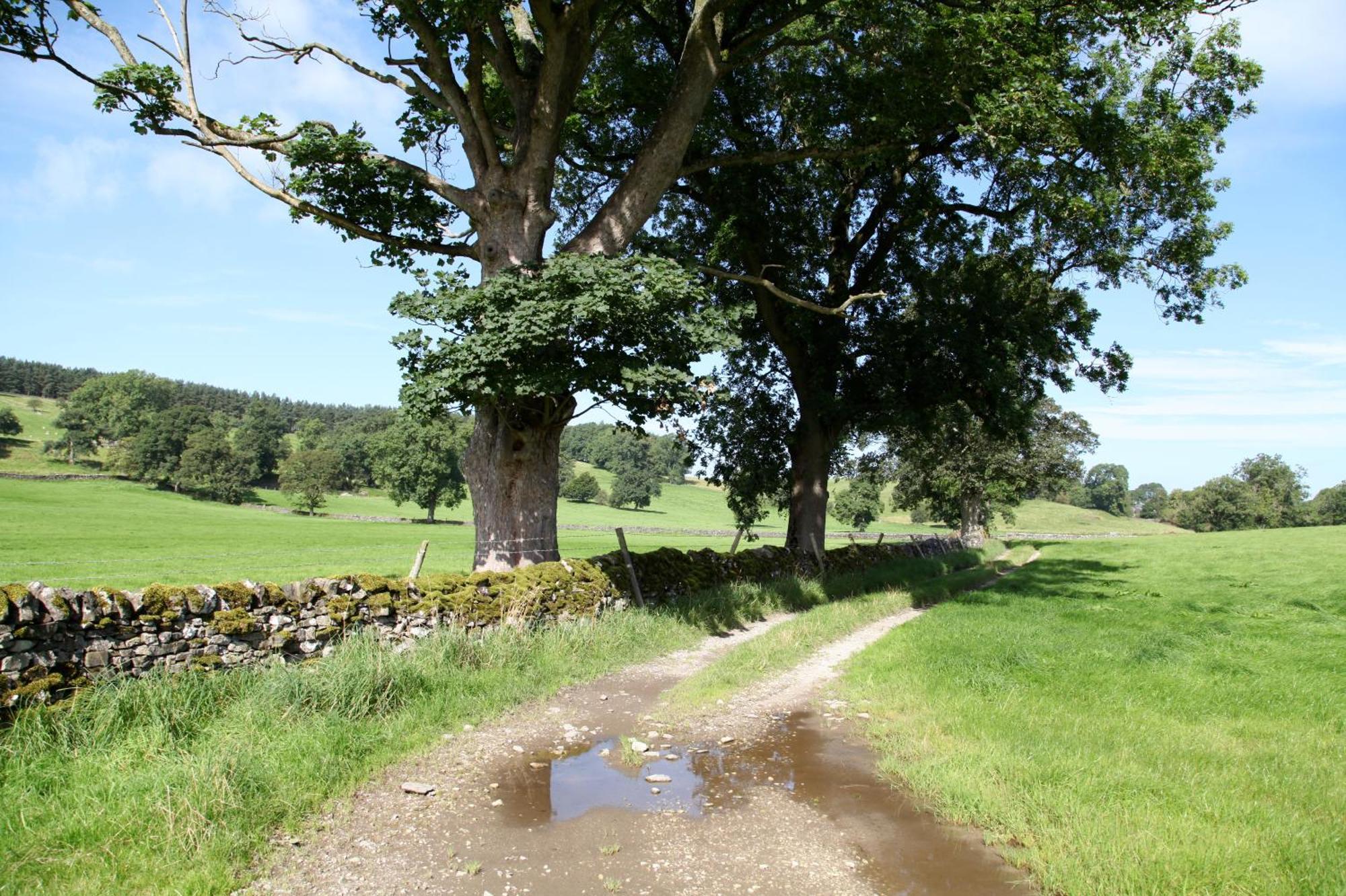 Green Grove Country House Malham Esterno foto