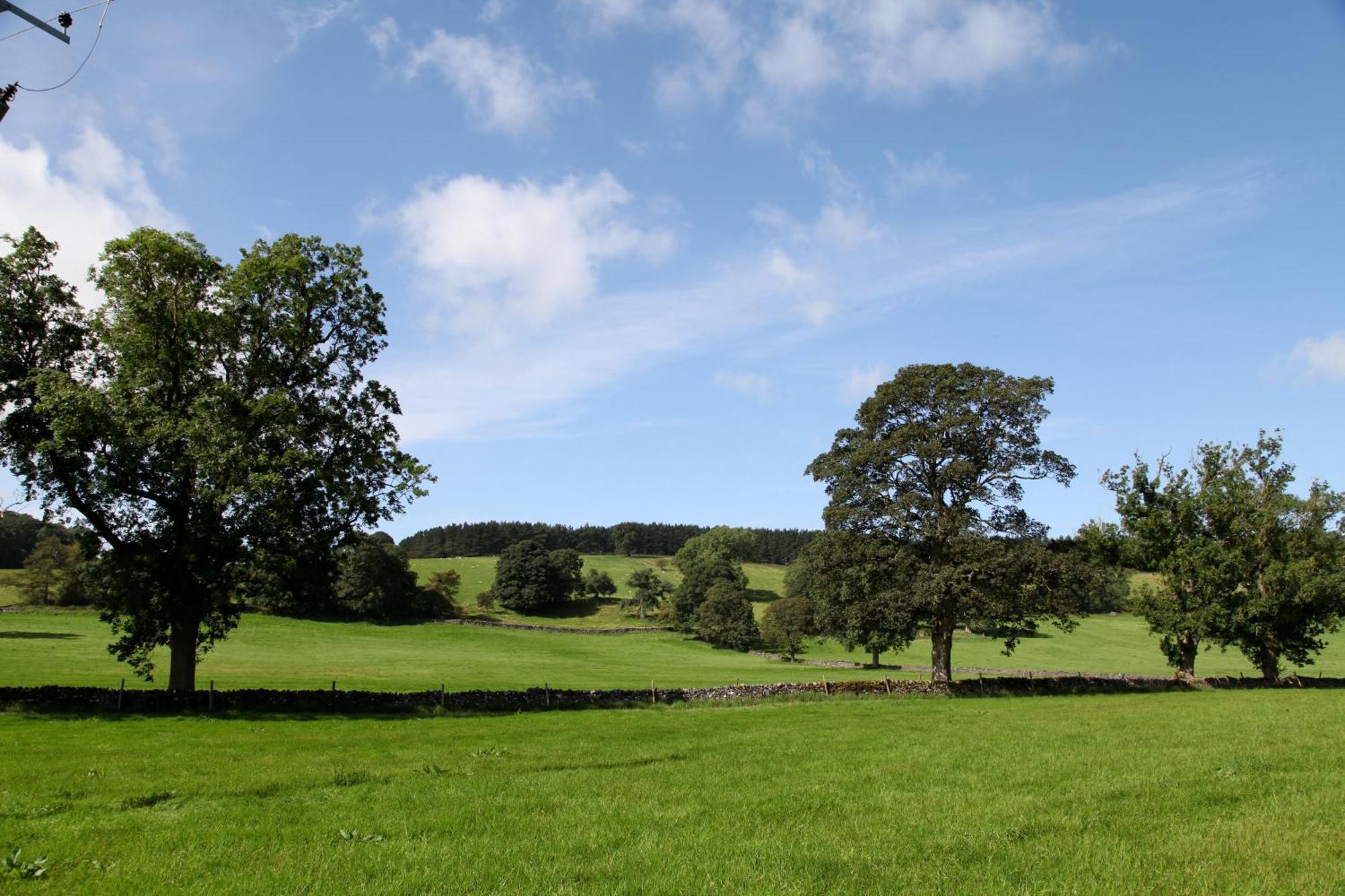 Green Grove Country House Malham Esterno foto