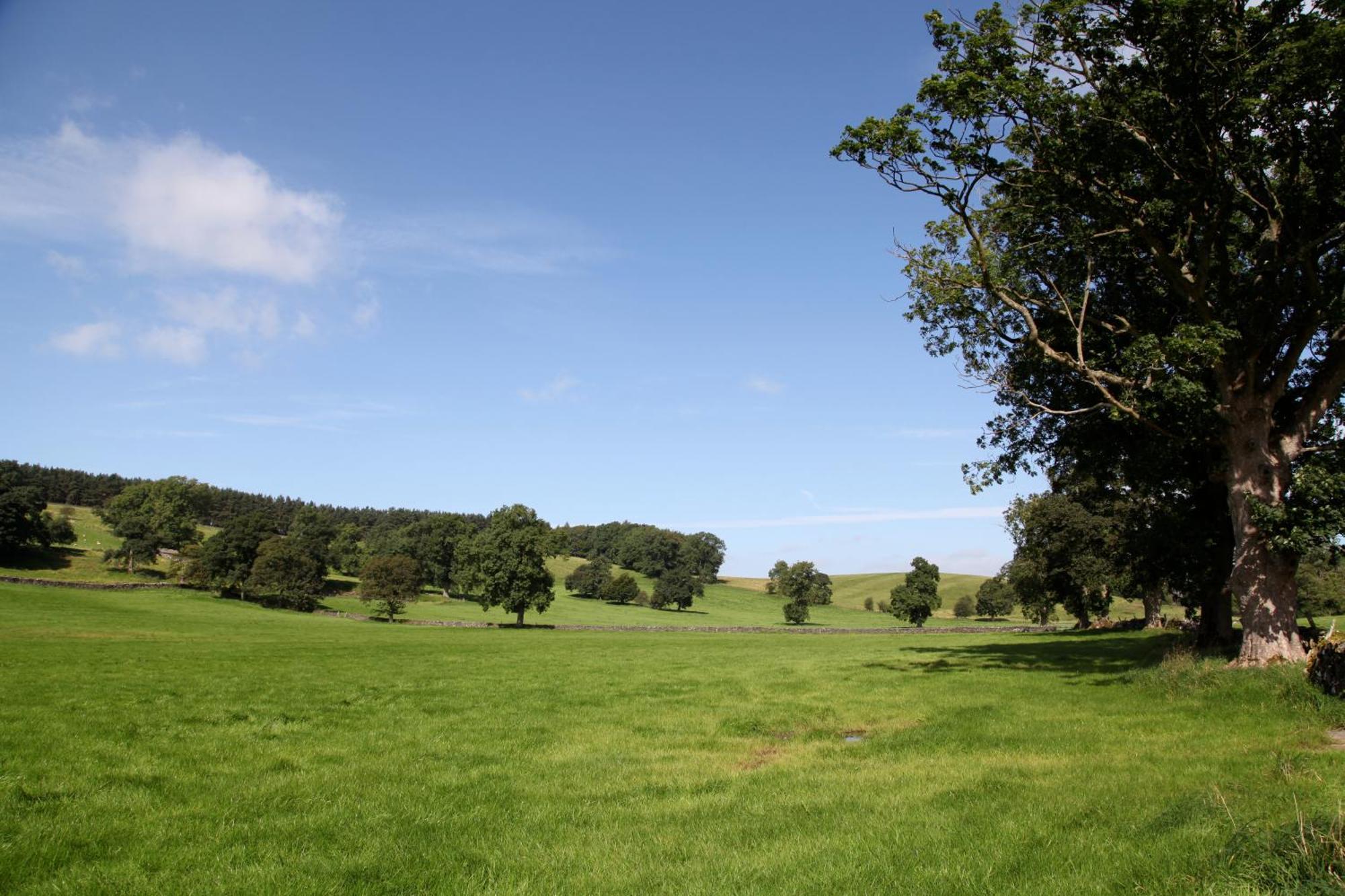 Green Grove Country House Malham Esterno foto